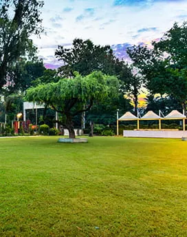 Bottle Brush Lawns at Hotel Aketa Dehradun