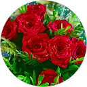 Nisha Anshari profile picture